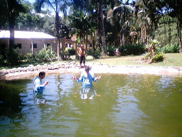Imagem 2 de 18  -  112 kB